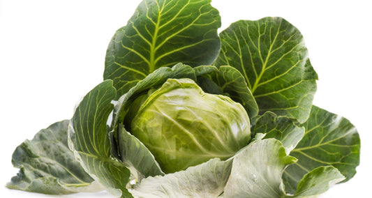 Korean Cabbage Juice