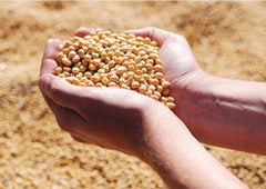 Fermented Soybean Paste 350g