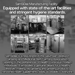 Korean Red Ginseng Roasted Tea (2g x 10 Bags) – 100% Roasted Red Ginseng, Caffeine-Free