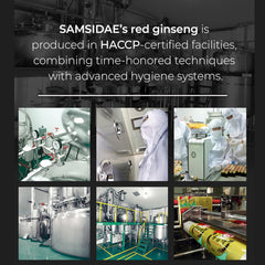 SAMSIDAE Korean Red Ginseng & Ginger Tea (50 Bags) | Supports Energy, Circulation & Digestion