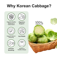 Korean Cabbage Juice 90ml x 30 – 100% Pure Green Cabbage Extract, No Additives