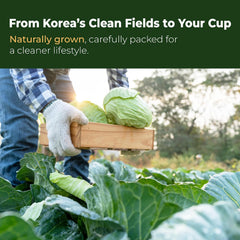 Korean Cabbage Juice 90ml x 30 – 100% Pure Green Cabbage Extract, No Additives