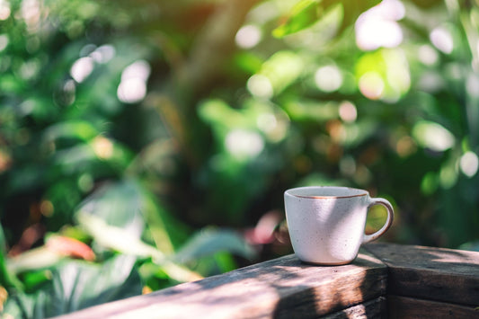 Cooling the Heart-Fire: Korean Secrets to Summer Serenity and Emotional Balance