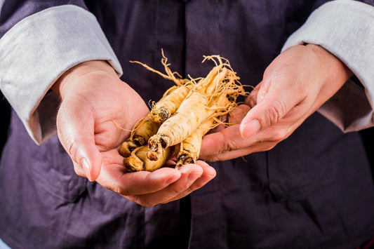 Authentic Korean Red Ginseng: Discover Its True Power & Verify Authenticity with RootTerra