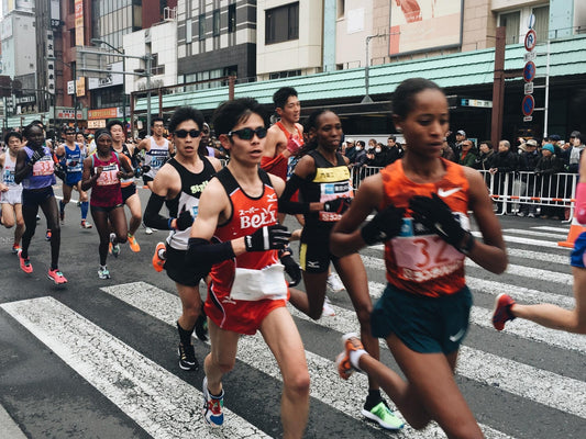 The Science of Superior Stamina: How Korean Black Ginseng Fuels Peak Performance & Recovery