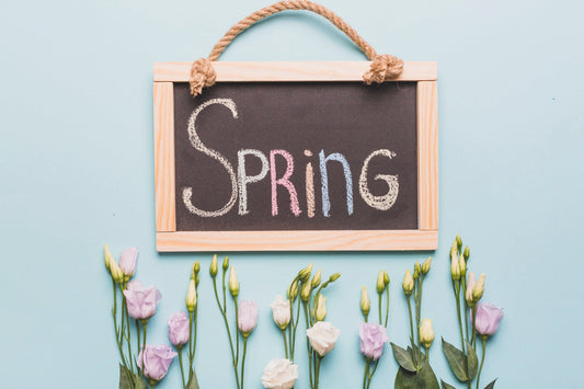 Why March is the True Start of Your Wellness Routine: The Power of Korean Red Ginseng