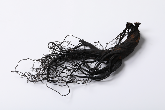 The Next Level: Unlocking the Ultimate Benefits of Korean Black Ginseng