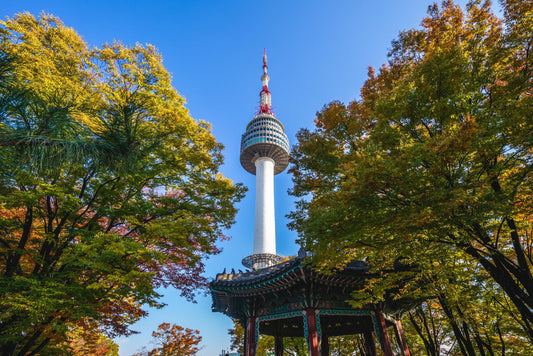 Namsan Tower, Rising Costs, and Our Unshakable Commitment to Quality