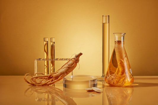 The Science of Wellness: Analyzing the Proven Health Benefits of Korean Red Ginseng