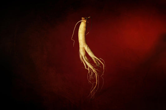 Delicious and Creative Ways to Enjoy Korean Red and Black Ginseng