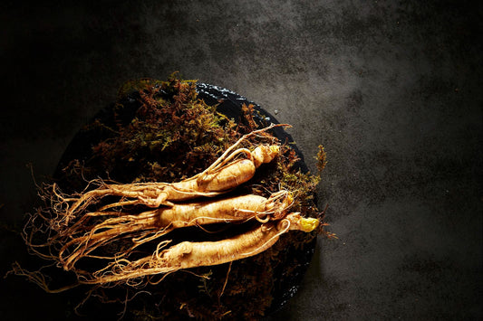 Discover the Powerful Antioxidant Properties of Korean Black Ginseng