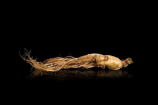 Your Lifelong Journey to Health with Korean Red and Black Ginseng