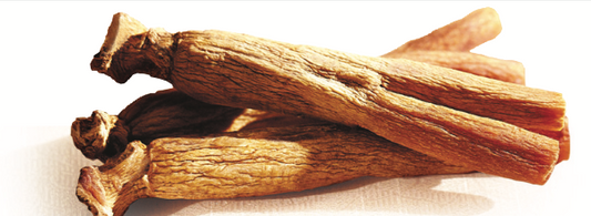 Korean Ginseng Is a Stamina Booster, a Natural Viagra*