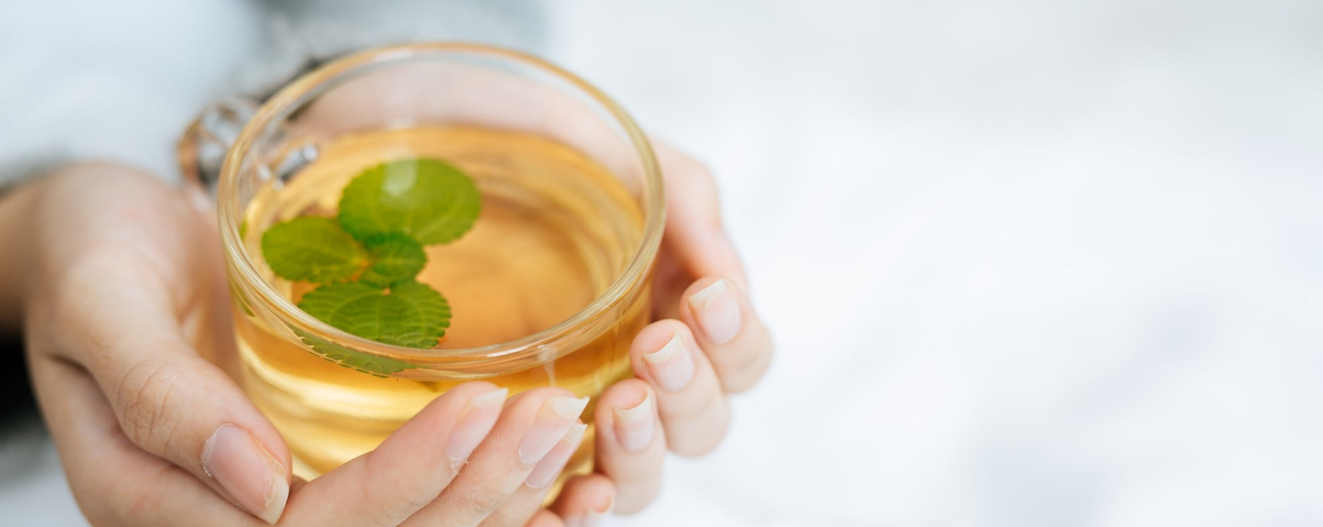 Herbal & Wellness Teas