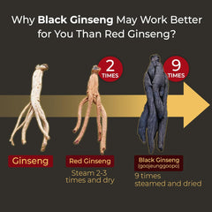 Thanh chiết xuất nhân sâm đen Hàn Quốc EveryGin Plus