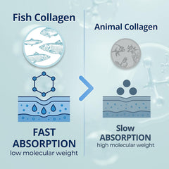 Collagen Extract Stick – Korean Low Molecular Fish Collagen Drink with Pomegranate & Vitamin C
