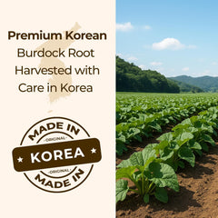Korean Roasted Burdock Root Tea