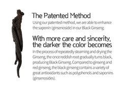 Korean Black Ginseng EveryGin Extract Plus Stick