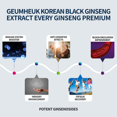 Korean Panax Black Ginseng EveryGin Extract Premium