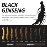 GXG Energy Drink (Black Ginseng & Ginger) 110ml X 12 Bottles